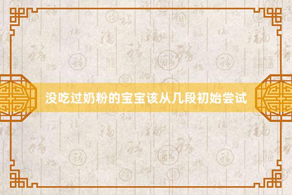 没吃过奶粉的宝宝该从几段初始尝试