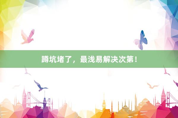 蹲坑堵了，最浅易解决次第！