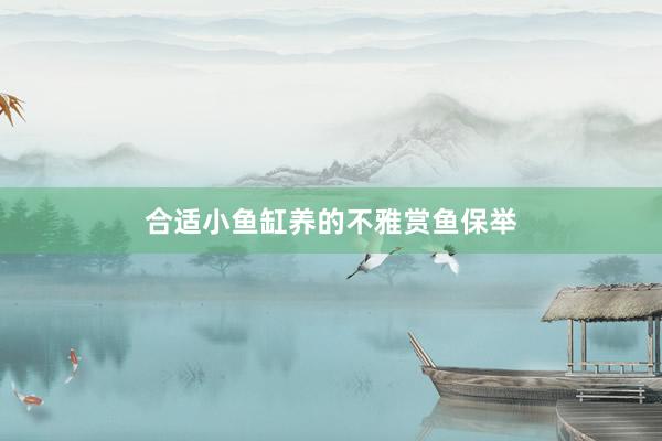 合适小鱼缸养的不雅赏鱼保举
